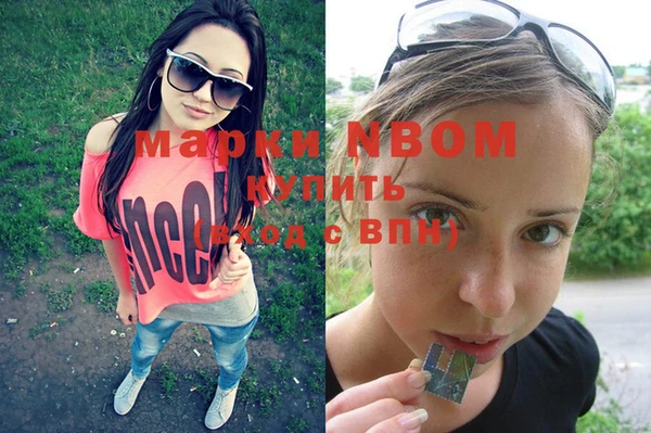 мдпв Алексин