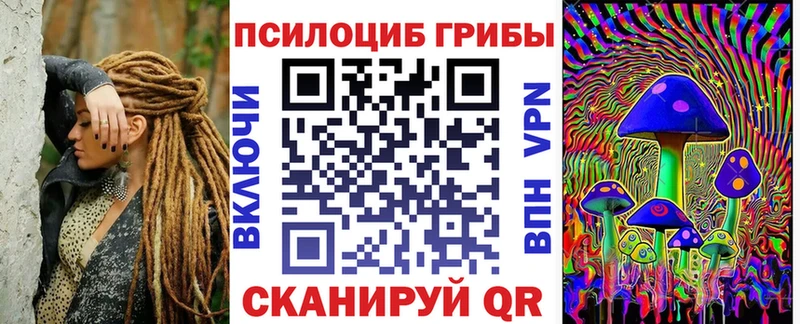 где купить наркоту  кракен ТОР  Галлюциногенные грибы Psilocybe  Перевоз 